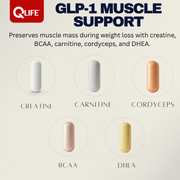 QLIFE GLP‑1 Muscle Support - 30 Packs - QLIFE Wellness