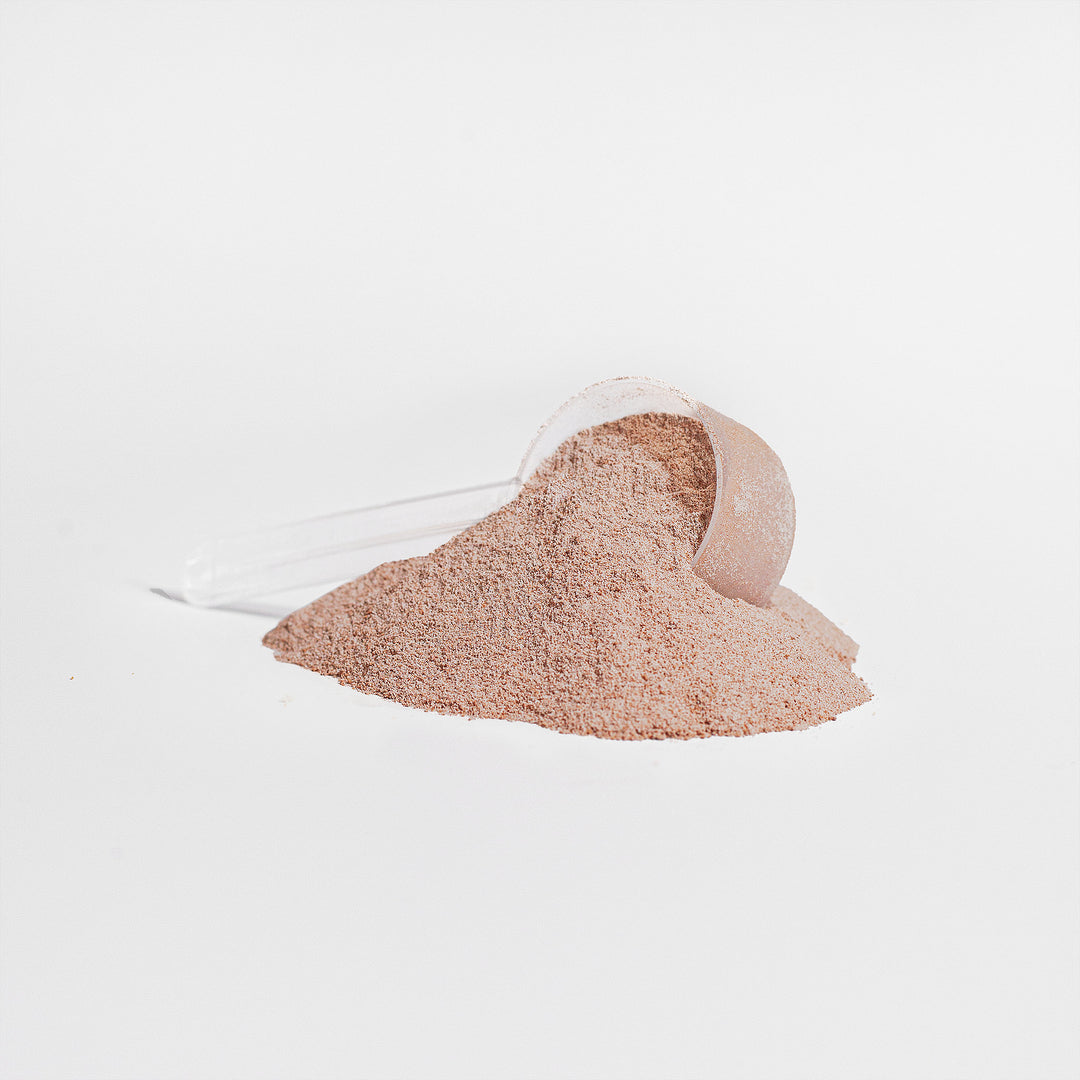 HEALTH IQ - Grass - Fed Collagen Peptides Powder (Chocolate) - QLIFE Wellness