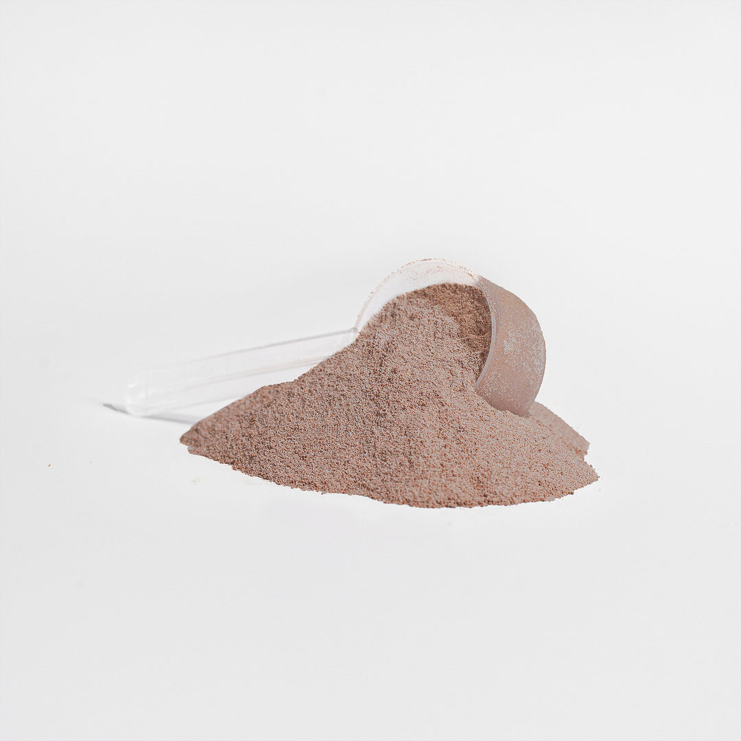 HEALTHIQ Whey Protein Isolate (Chocolate) - QLIFE Wellness