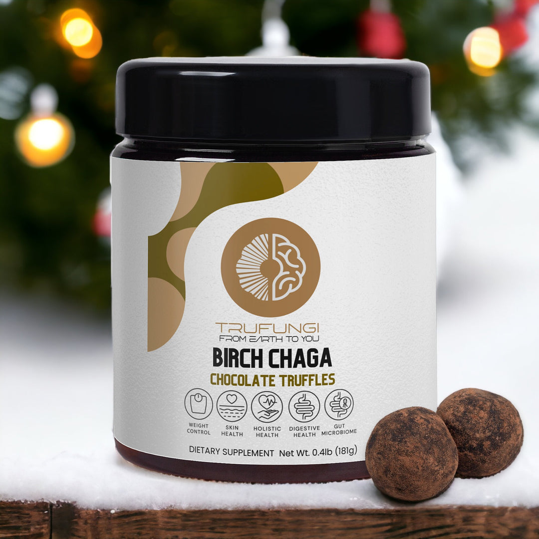 Birch Chaga Truffles - QLIFE Wellness