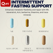 QLIFE Intermittent Fasting Support - 30 Packs - QLIFE Wellness