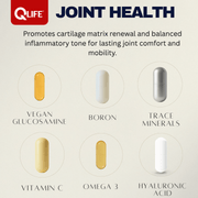QLIFE Joint Health - 30 Packs - QLIFE Wellness