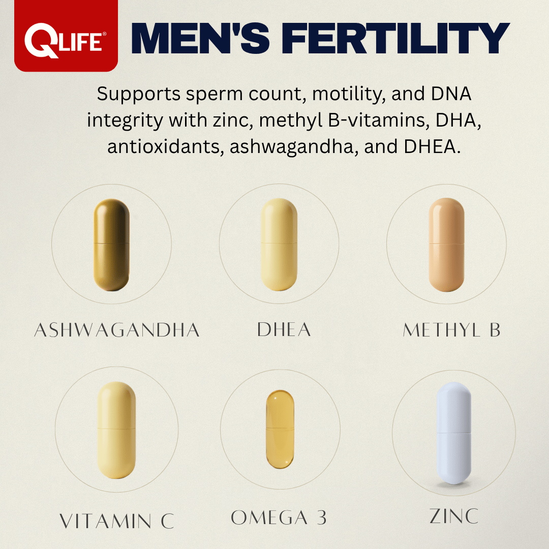 QLIFE Men’s Fertility - 30 Packs - QLIFE Wellness