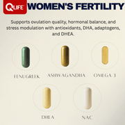 QLIFE Women’s Fertility - 30 Packs - QLIFE Wellness