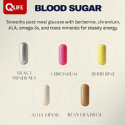QLIFE Blood Sugar Support - 30 Packs - QLIFE Wellness