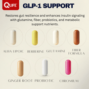 QLIFE GLP‑1 Support - 30 Packs - QLIFE Wellness